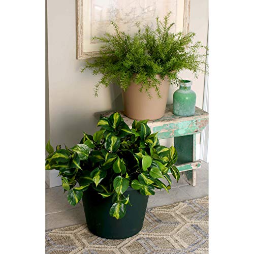 The HC Companies 24 Inch Round Classic Planter - Large Plastic Plant Pot for Indoor Outdoor Plants Flowers Herbs, Slate Blue