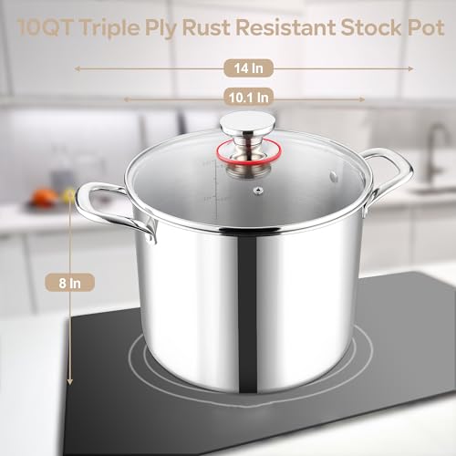 LIANYU 10 Quart Stock Pot with Lid, 10 QT 18/10 Stainless Steel Soup Pot, Tri-Ply Heavy Duty Large Canning Pasta Pot, Big Deep Pot for Cooking, Nonstick Induction Stockpot with Measuring Mark