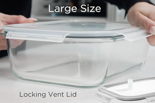Razab 2700ml / 92 Oz / 11 Cups Large Glass Food Storage Containers with Lids, BPA Free, Snap Locking Airtight & Leakproof Lids - Ideal for Baking, Casserole & Roasting - Freezer, Microwave & Oven Safe