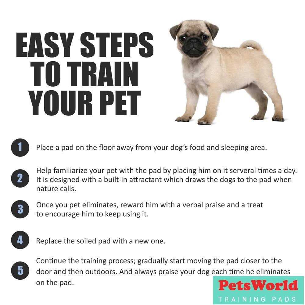 Petsworld Giant Potty Pads Odor Eliminating 36 x Pee Pads for Dogs - Pet Supplies online store