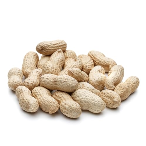 Wildlife Feed Raw Peanuts (10 LBS) - Our in-Shell Peanuts are The Ideal Critter Food to Attract Squirrels, Birds, Deer and Other Diverse Wildlife.