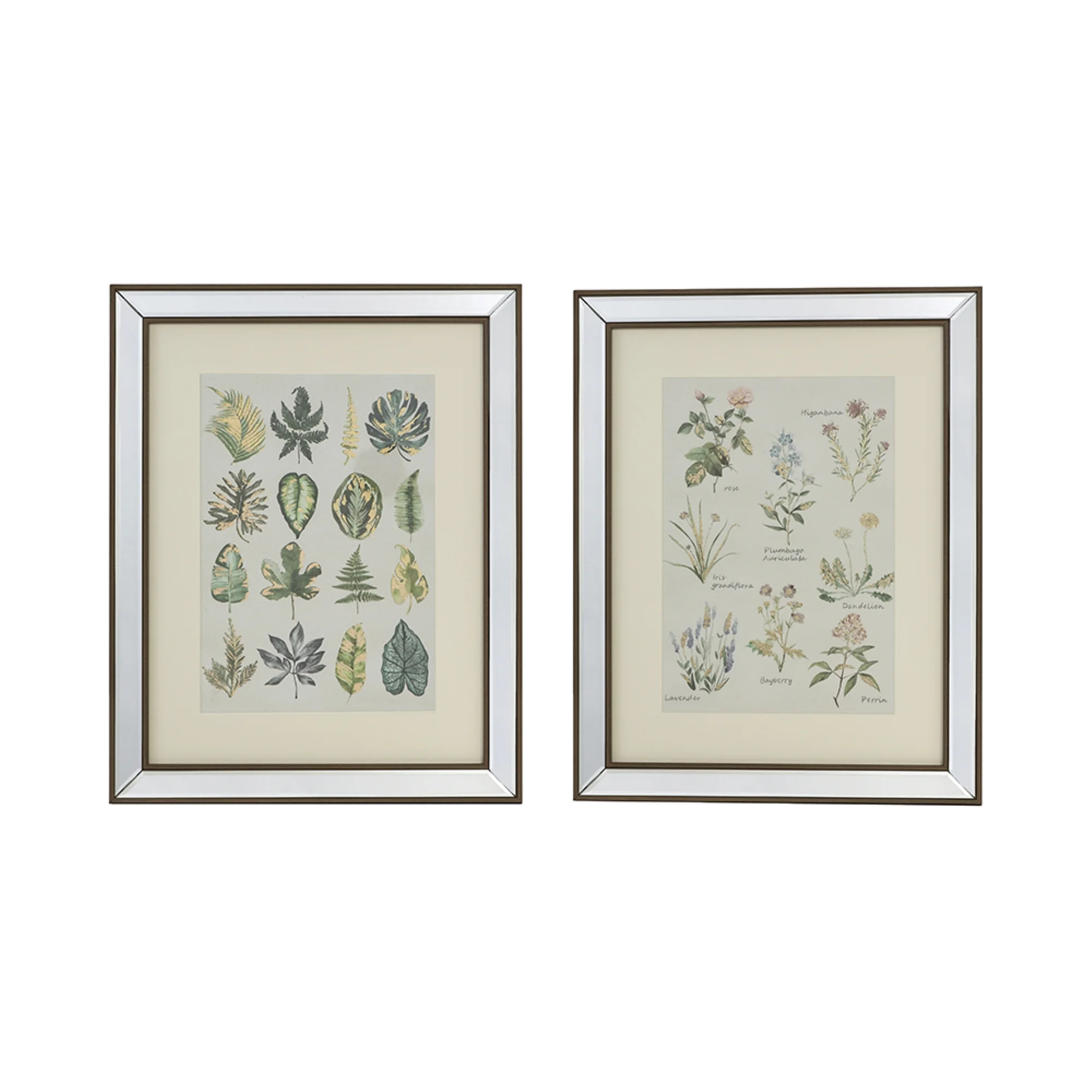 CC Home Furnishings Botanical Framed Wall Art - 19.75