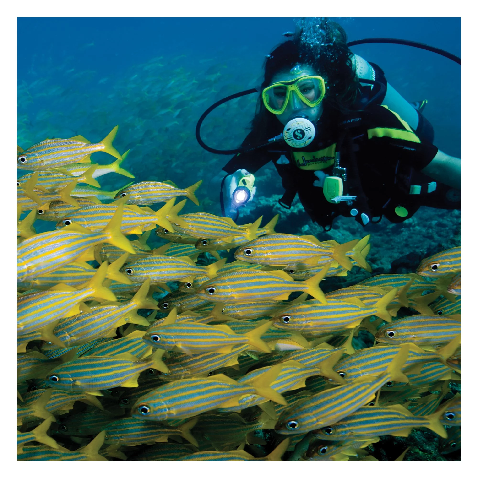 Underwater Kinetics SL4 eLED MK2 Dive Light - Safety Yellow