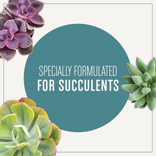 Miracle-Gro Houseplant Potting Mix - Fertilized Soil, Designed to be Less Prone to Gnats, 4 qt. (2-Pack)