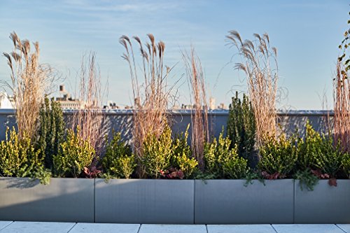 Belmont Rectangle Fiberglass Planter Box, Grey, L:36