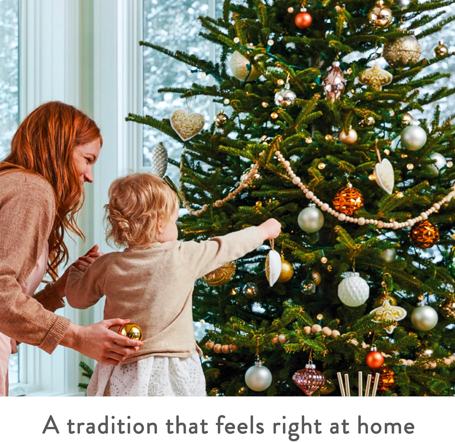 Thymes Frasier Fir Candle - Gilded Ceramic Small Jar Candle - Scented Candle with a Luxury Home Fragrance - Elegant Holiday Candle - Single-Wick Candle - White Candle (6 oz)