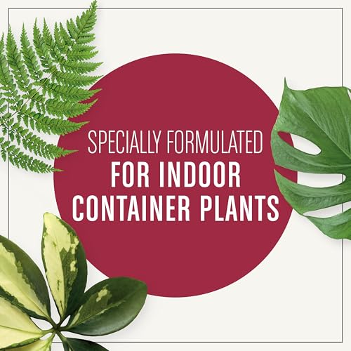 Miracle-Gro Houseplant Potting Mix - Fertilized Soil, Designed to be Less Prone to Gnats, 4 qt. (2-Pack)