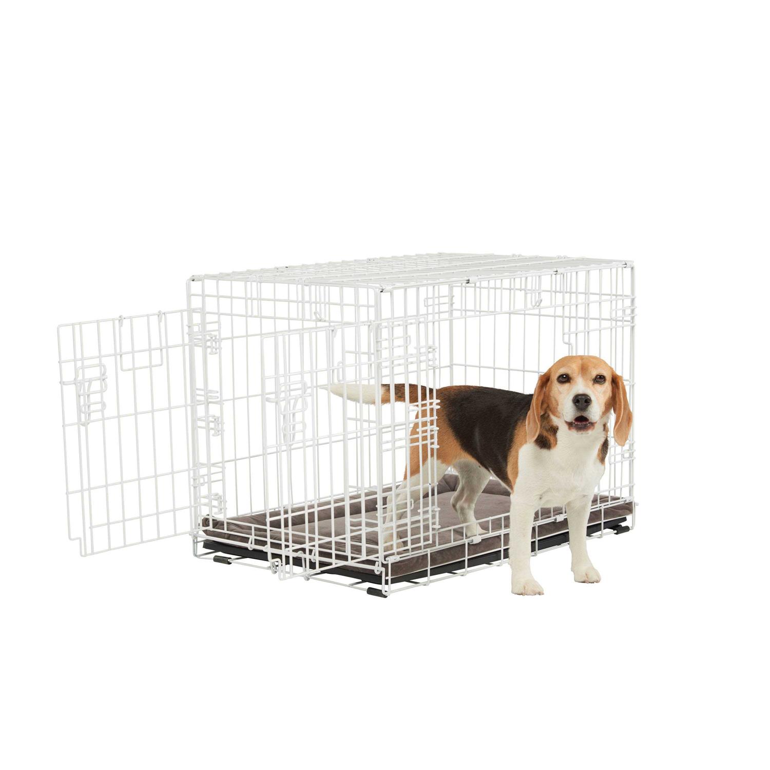 EveryYay White 2-Door Dog Crate H - Pet Supplies online store