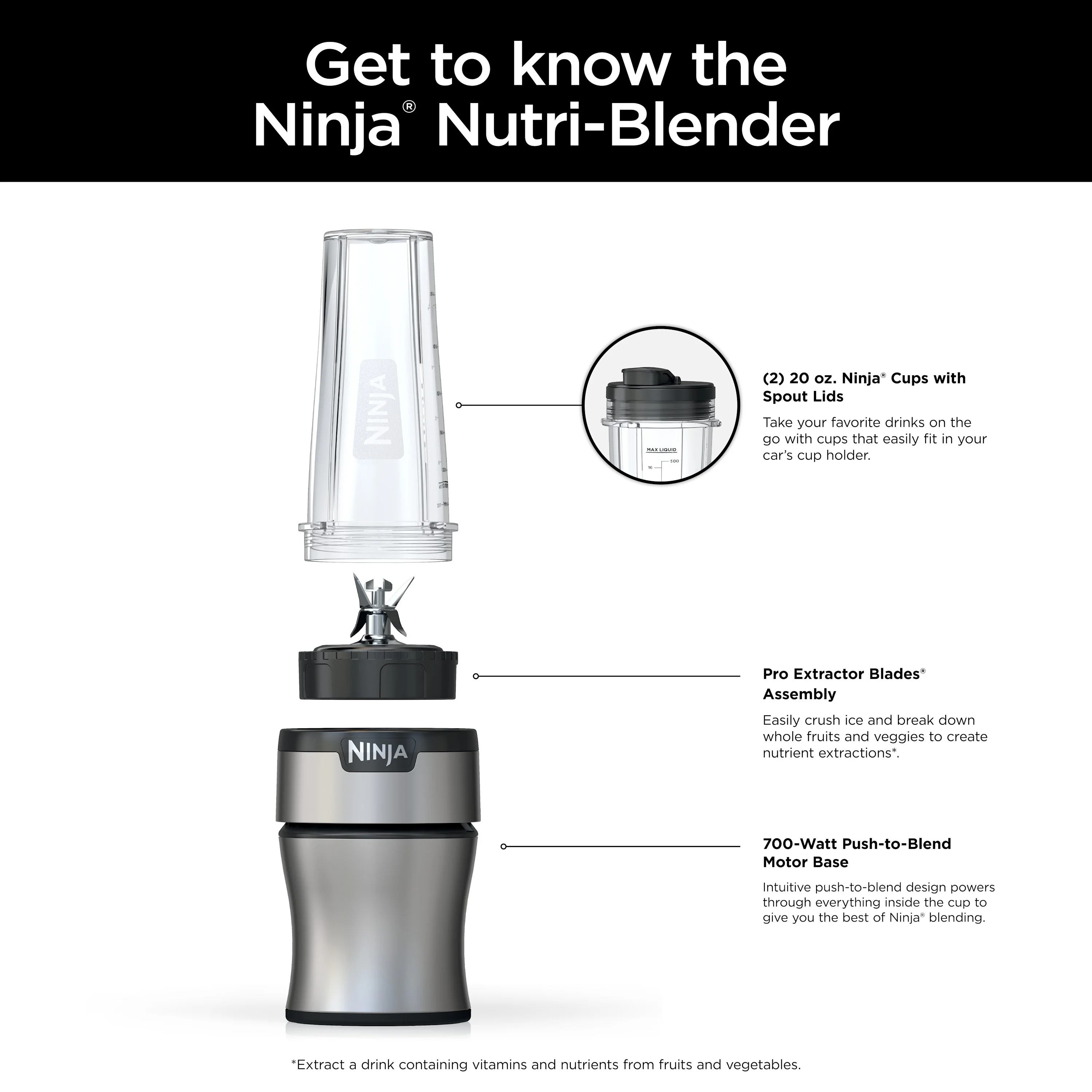 Ninja Nutri-Blender BN300 700-Watt Personal Blender, 2-20 oz Dishwasher-Safe to-Go Cups