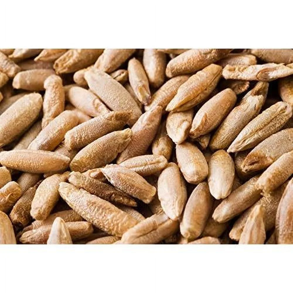 Rye Berries | 22 Pounds | High In Fiber And Iron - 22 Pound Bag Of Rye Berries - Made In