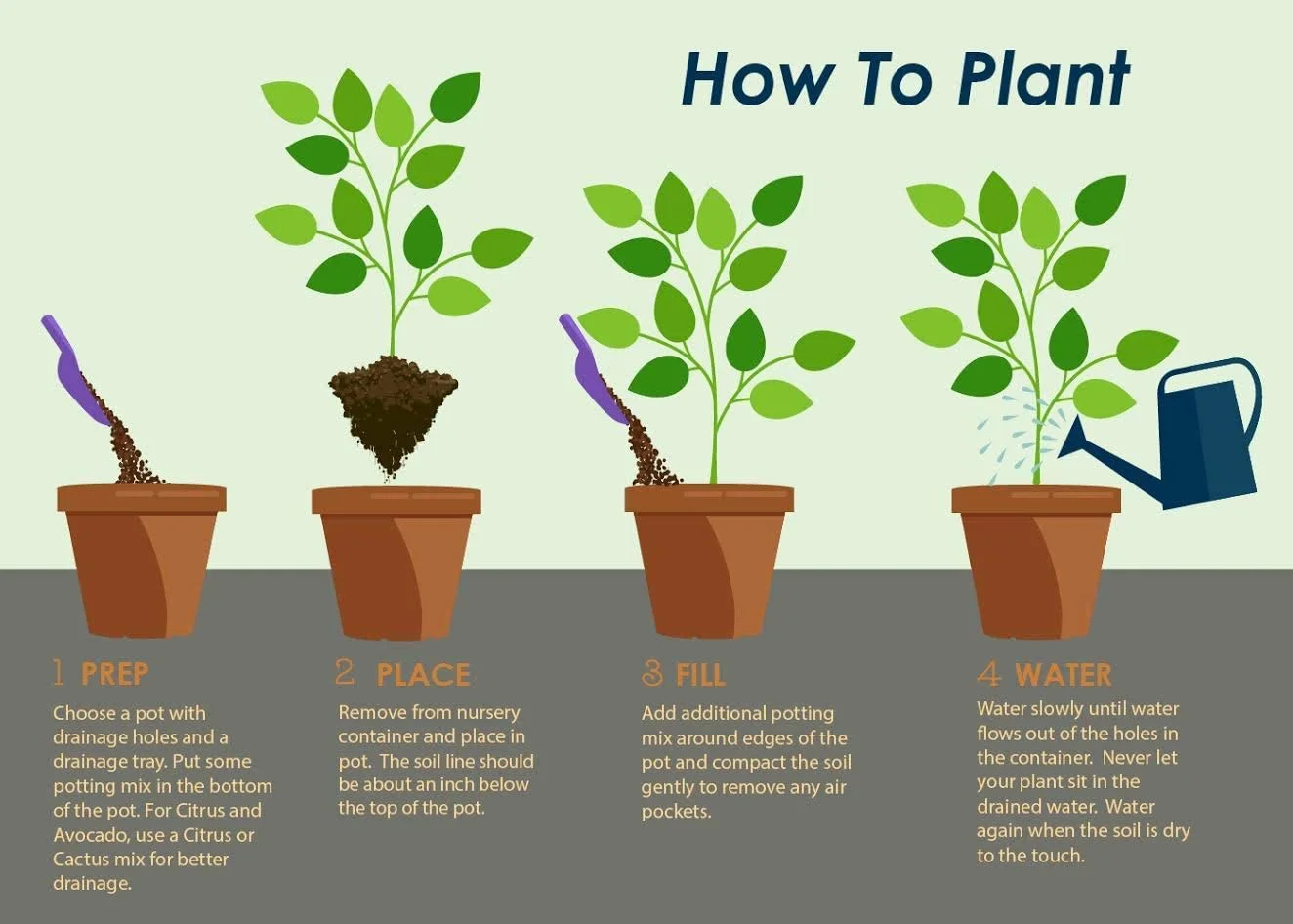 Brighter Blooms - Vanilla Strawberry Hydrangea Tree, 5-6 ft. - No Shipping To AZ