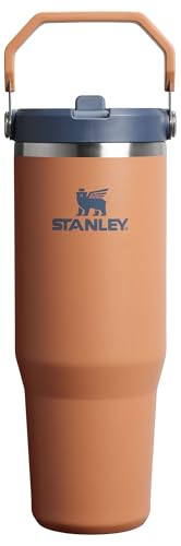 Stanley IceFlow Flip Straw Tumbler with Handle 30 oz | Twist On Lid and Flip Up Straw | Leak Resistant Water Bottle | Insulated Stainless Steel |BPA-Free | Lilac