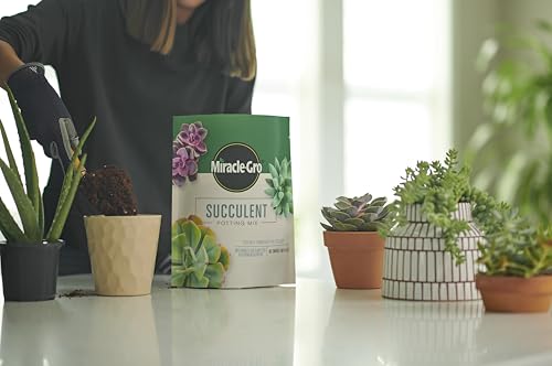 Miracle-Gro Houseplant Potting Mix - Fertilized Soil, Designed to be Less Prone to Gnats, 4 qt. (2-Pack)