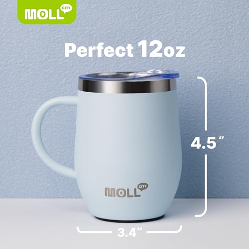 Tumbler with Lid and Straw-12 oz Stainless Steel Double Wall Vacuum Insulated Tumbler Cup with Handle (Canyon Red-Sky Blue)