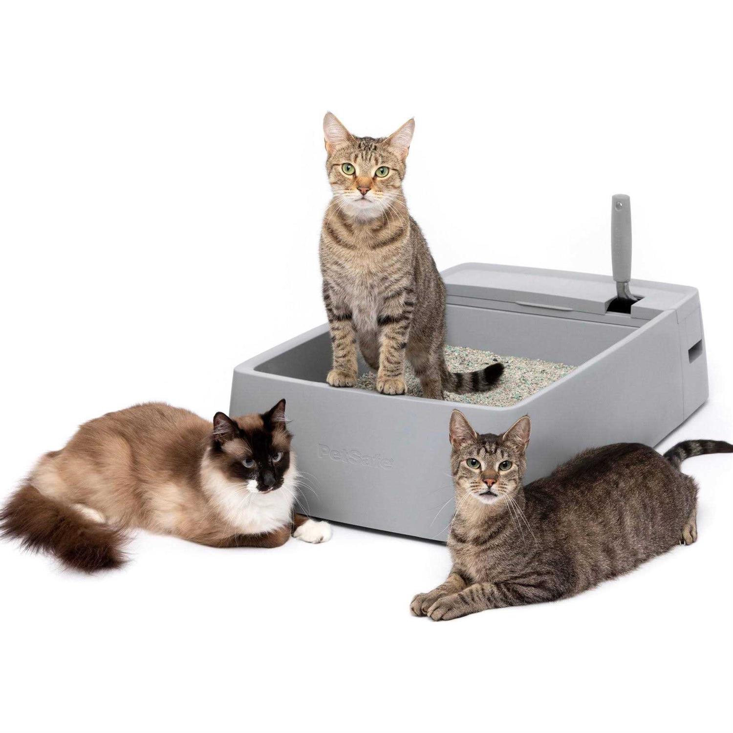 PetSafe Multi-Cat Litter Box - Pet Supplies online store