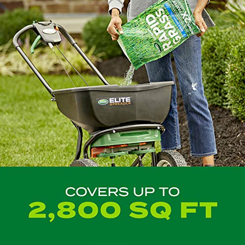 Scotts Turf Builder Rapid Grass Sun and Shade Mix, Combination Grass Seed and Fertilizer, Grows Green Grass in Just Weeks, 16 lbs.