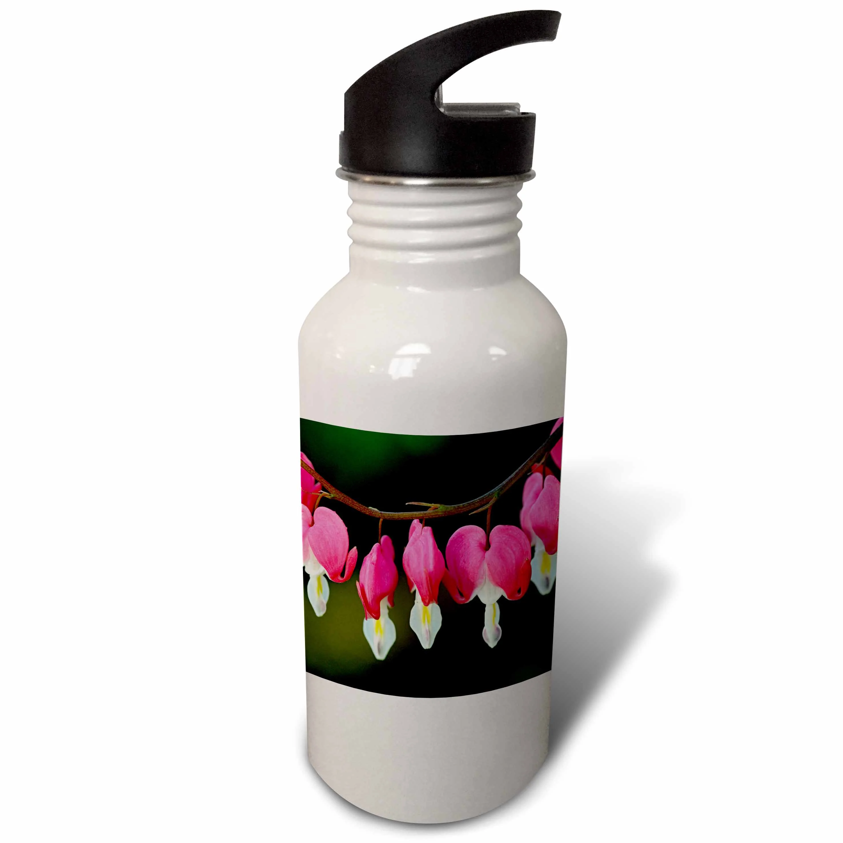 Canada, Manitoba, Winnipeg. Bleeding heart flowers. 21 oz Sports Water Bottle wb-329783-1