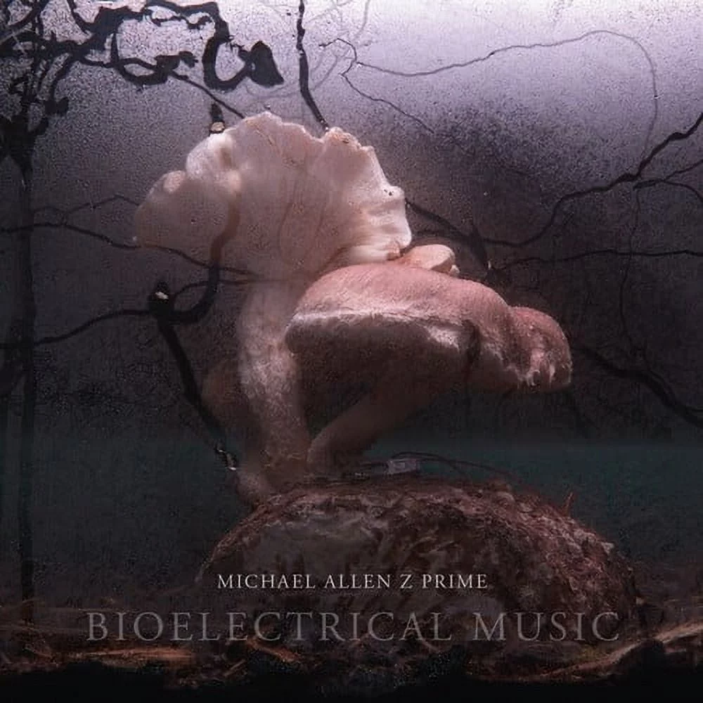 Michael Allen Z Prime - Bioelectrical Music - CD