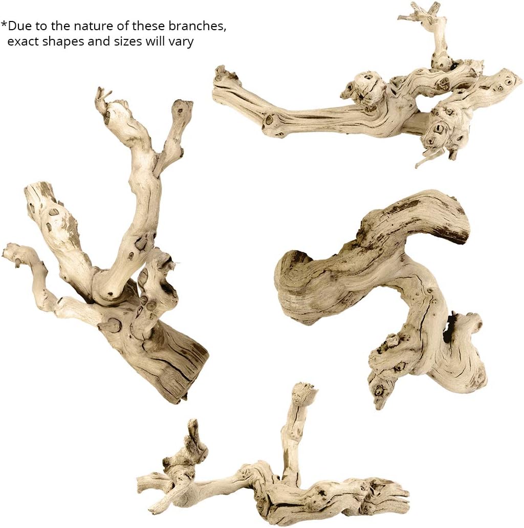 Koyal Natural Grapewood Vine Branch, 6-Inch