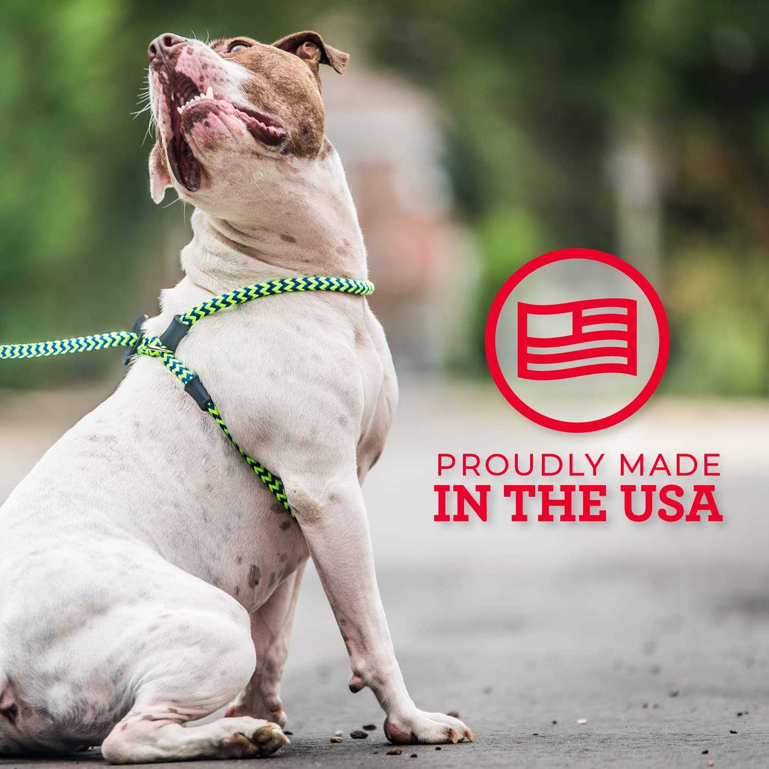 Harness Lead Dog Harness - Pet Supplies online store