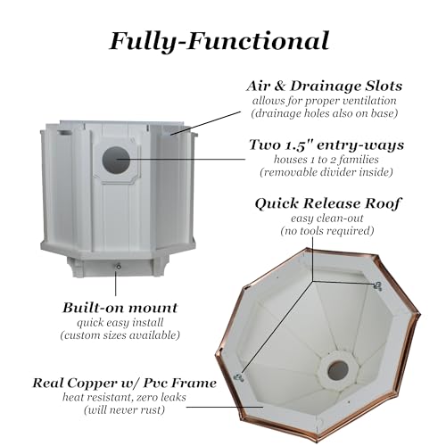 Bluebird Songbird Duplex Bird House, Verdigris Patina Roof (4
