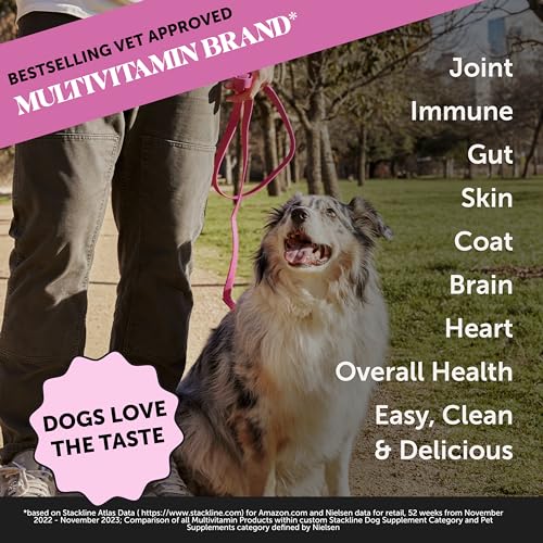 Pet Honesty Multivitamin Dog Supplement, Glucosamine chondroitin for dogs, Probiotics, Omega Fish oil, dog supplements & vitamins, dog vitamins for skin and coat allergies, (Peanut Butter 90 ct)