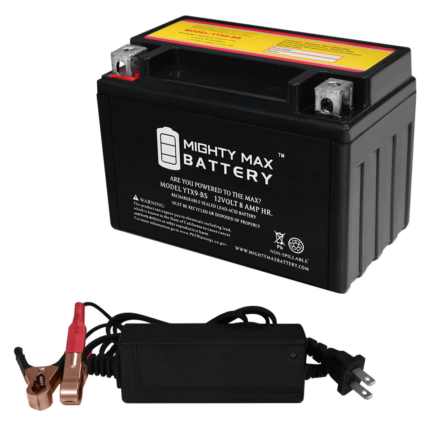 YTX9-BS Replaces Elektra Kawasaki ZX-6R 91-00 + 12V 2Amp Charger