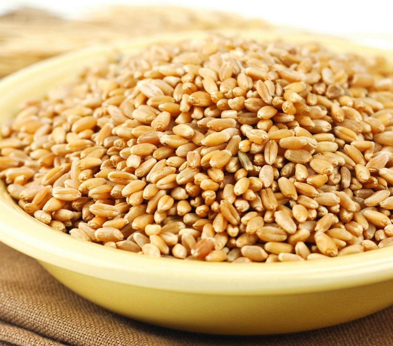 Wheat Montana Prairie Gold Hard White Spring Wheat Berries, 25 Lb. Bag