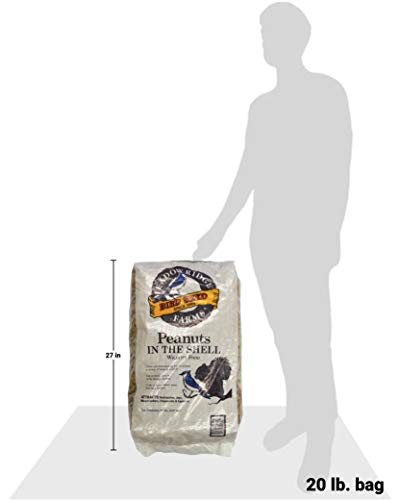 Peanuts in The Shell Wildlife Food, 20-Pound Bag
