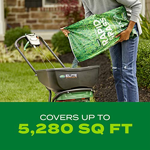 Scotts Turf Builder Rapid Grass Tall Fescue Mix, Combination Grass Seed and Fertilizer, Grows Green Grass in Just Weeks, 5.6 lbs.