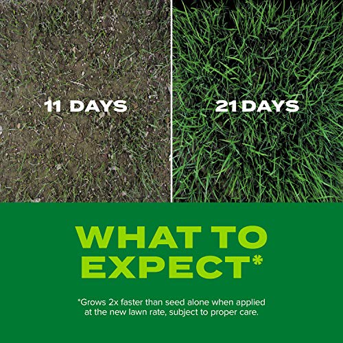 Scotts Turf Builder Rapid Grass Tall Fescue Mix, Combination Grass Seed and Fertilizer, Grows Green Grass in Just Weeks, 5.6 lbs.