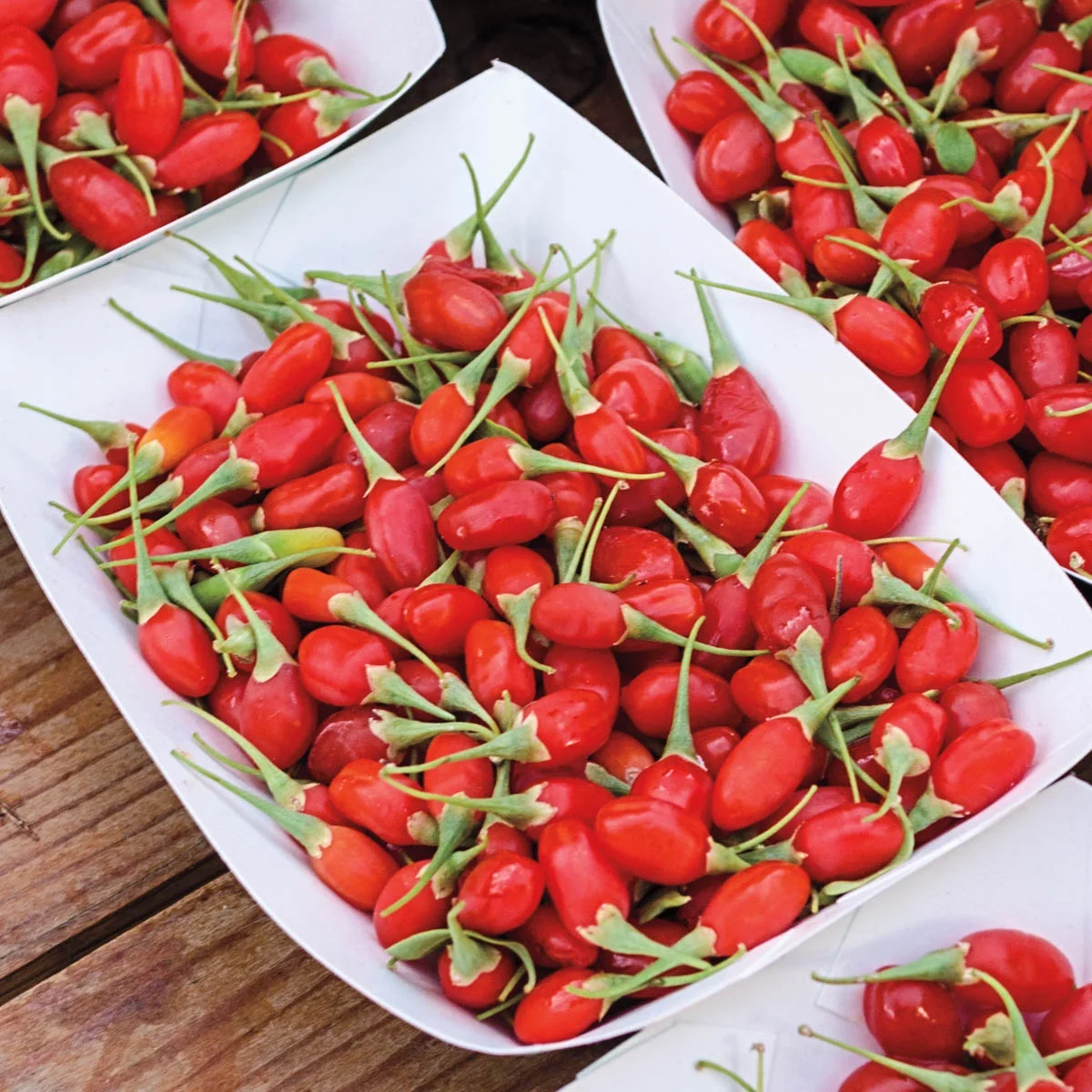 Goji Berry (Lycium), Deciduous Fruit Bearing Potted Plant, grown in a 2.50 Quart Pot (1-Pack)