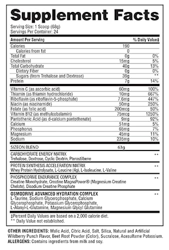 Gaspari Nutrition - SizeOn - The Ultimate Hybrid Intra-Workout Amino Acid & Creatine Formula, Increased Muscle Volume & Muscle Recovery - 3.59 Pound (Lemon Ice)