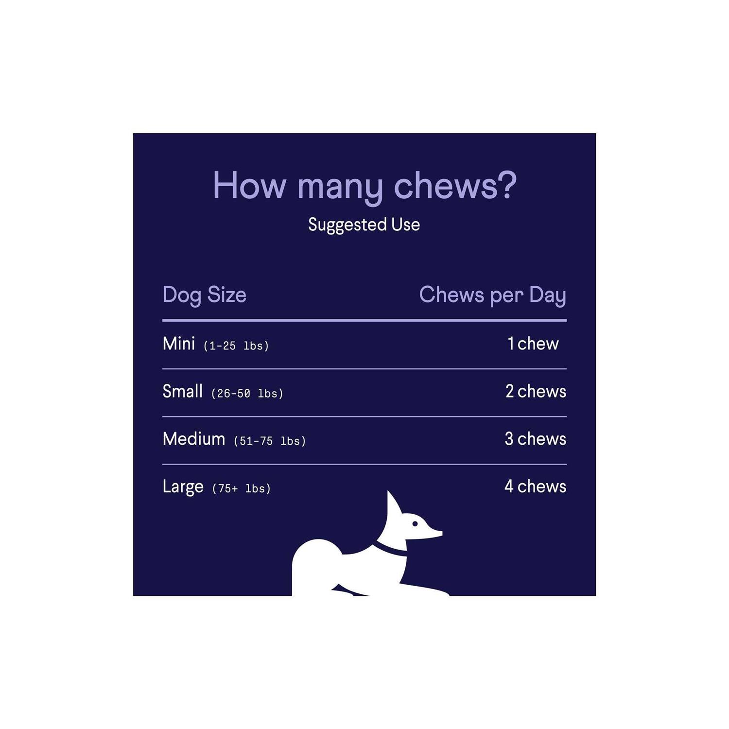 Finn Digestive Probiotics Supplement for Dogs - Pet Supplies online store