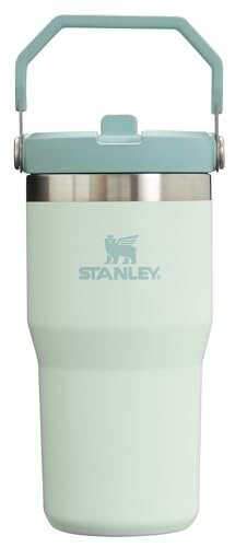 Stanley IceFlow Flip Straw Tumbler with Handle 30 oz | Twist On Lid and Flip Up Straw | Leak Resistant Water Bottle | Insulated Stainless Steel |BPA-Free | Lilac