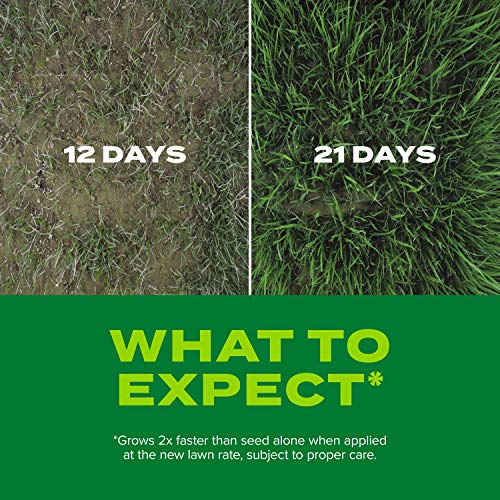 Scotts Turf Builder Rapid Grass Sun and Shade Mix, Combination Grass Seed and Fertilizer, Grows Green Grass in Just Weeks, 16 lbs.