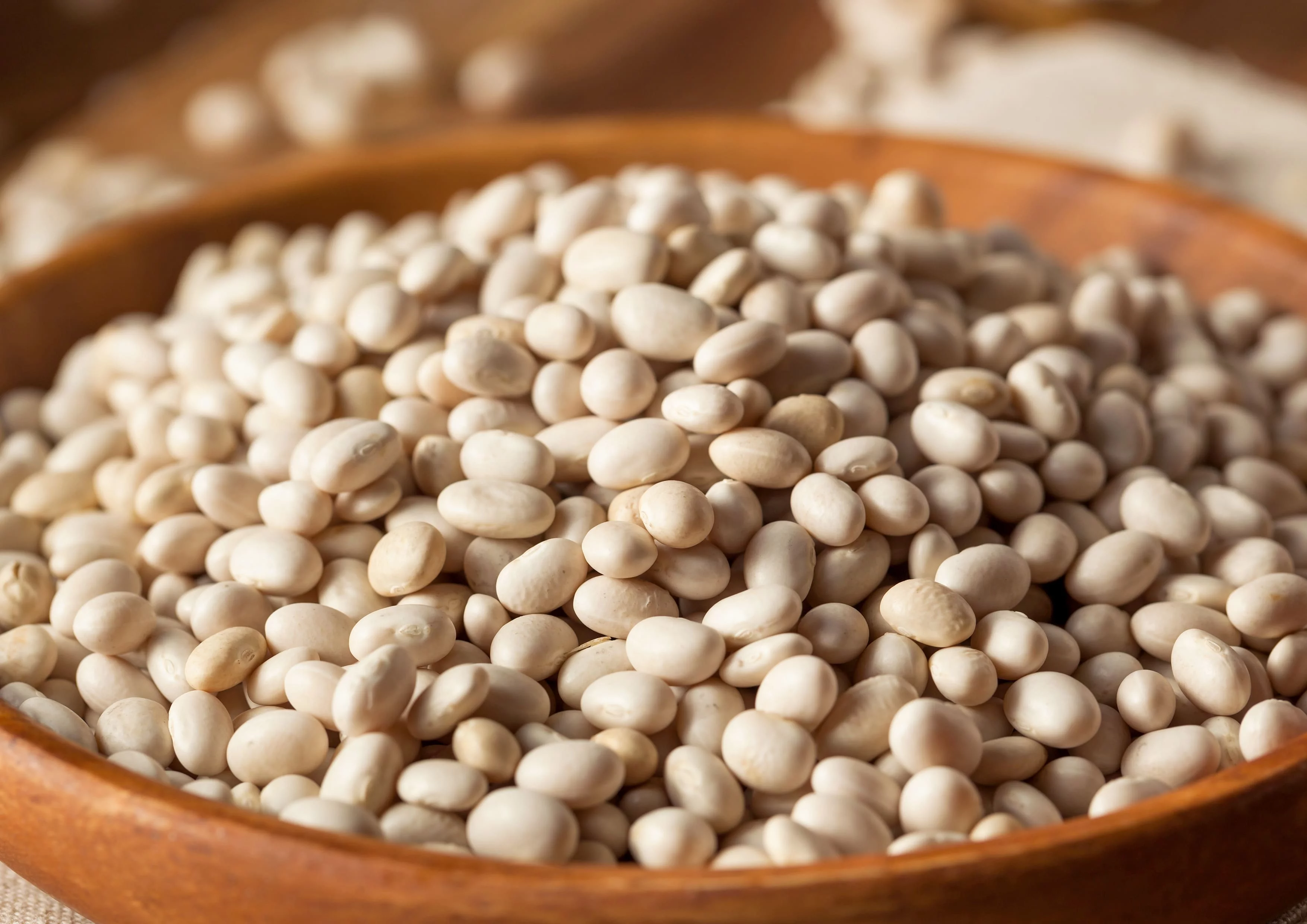 Navy Beans, 6 Pounds — Kosher, Raw, Vegan, Sproutable — by Food to Live