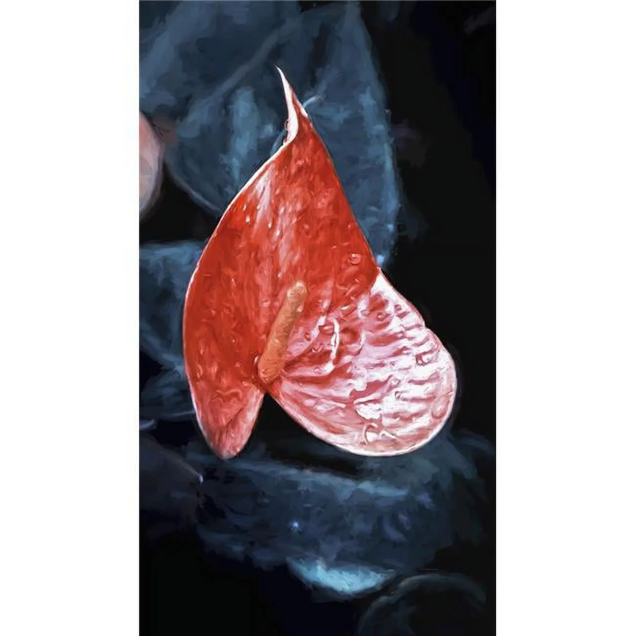 Red Anthurium Flower - Honolulu Oahu Hawaii United States of America Poster Print - 22 x 40 in. - Large