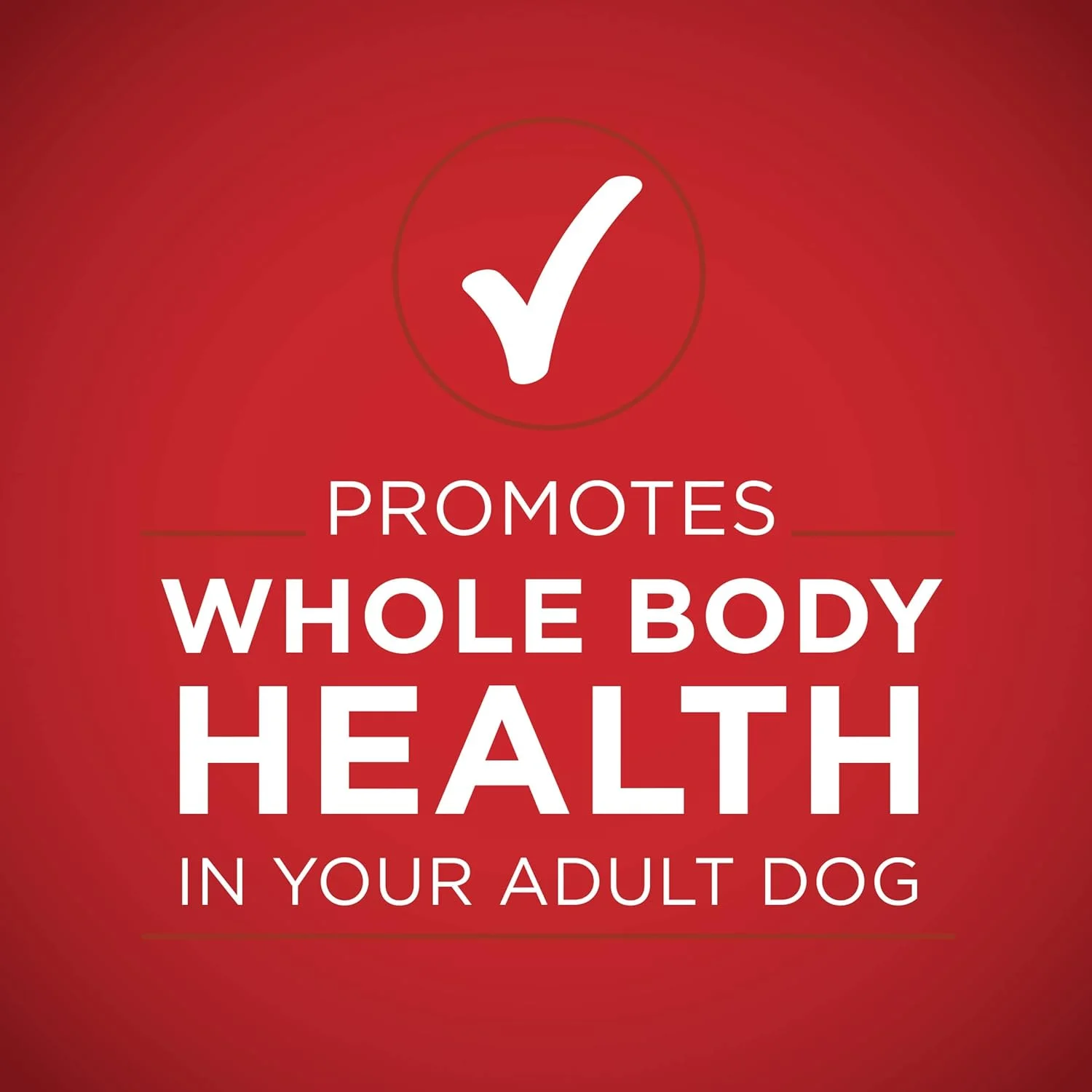 Purina ONE Tender Cuts in Gravy Beef and Barley Entree in Wet Dog Food Gravy - (12) 13 oz. Cans