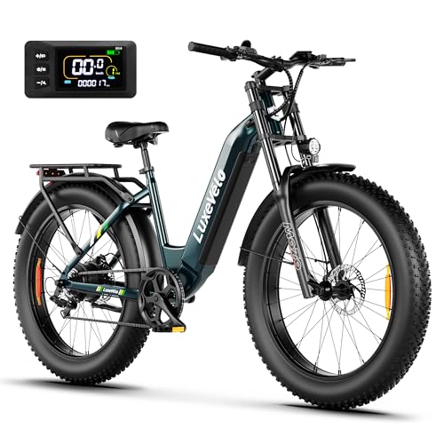 Pro Electric Bike for Adults, 26