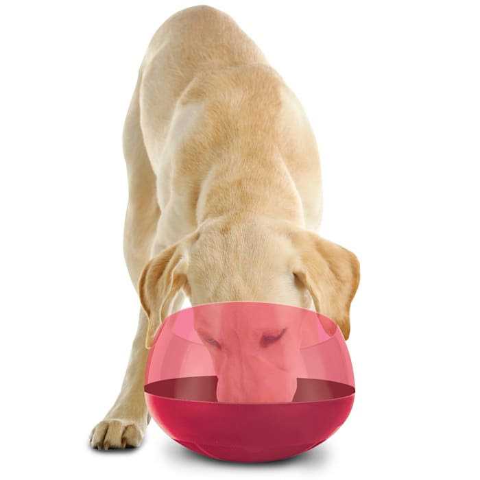 BLACK+DECKER Burgundy Rocking Interactive Slow Feeder Dog Bowl - Pet Supplies online store