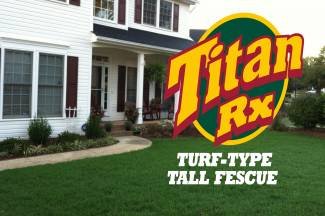 SeedRanch Titan Rx (Ultra) Tall Fescue Grass Seeds - 50 Lbs.