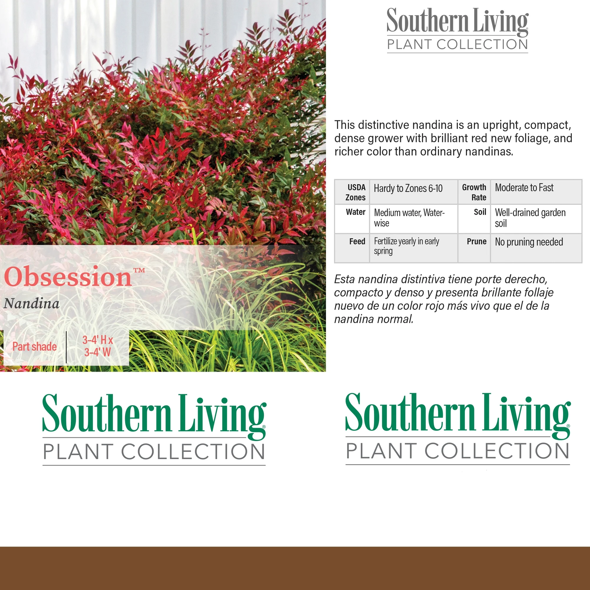 Southern Living Plant Collection Nandina Obsession Live Shrub (2 Gallon)