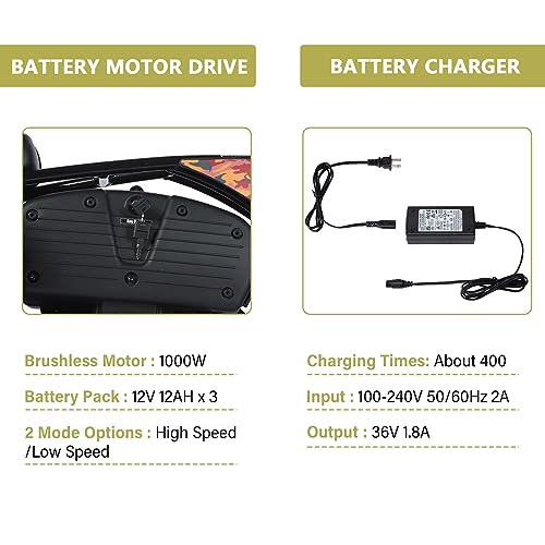 Oryxearth 36V Battery Powered Mini Electric Bike, Mini Dirt Bike for Kids, Electric Motorcycle for Kids Ages Over 13