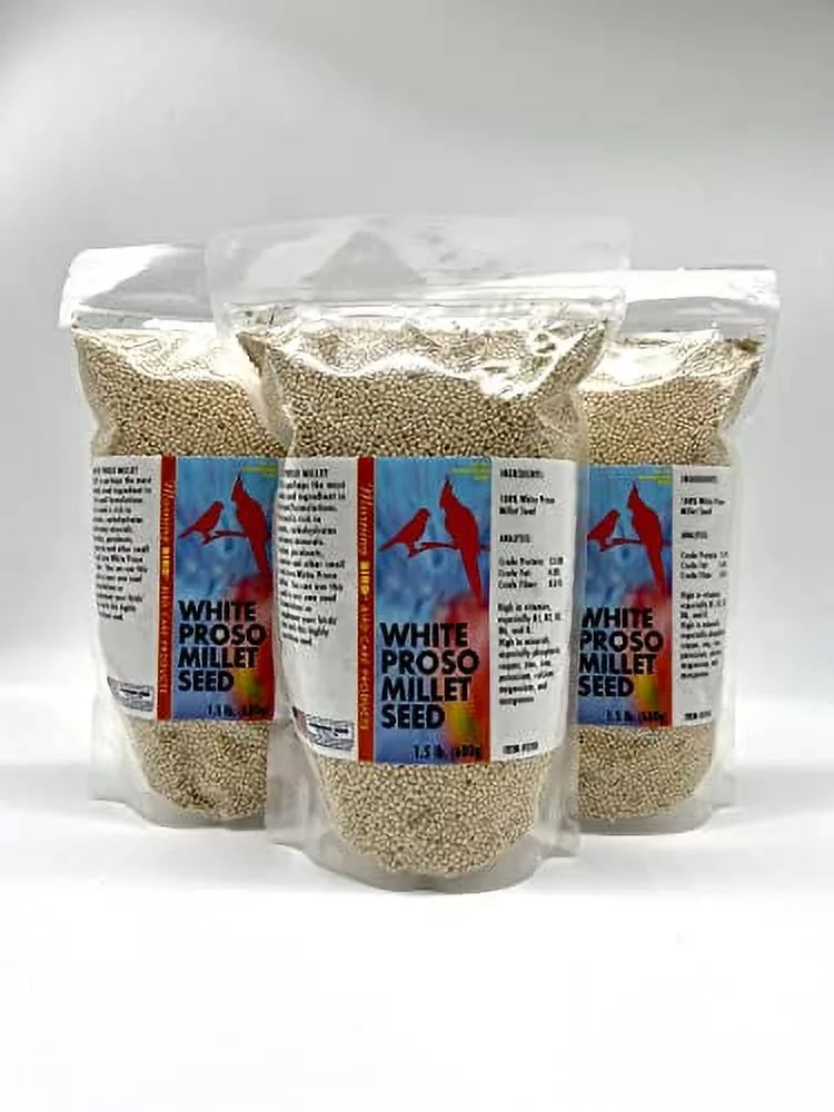 Morning Bird White Proso Millet Seed, Healthy Bird Food, Nutritious Supplement, High Protein, Fat, Fiber, Carbohydrates, Vitamins, and Minerals, 4.5 lbs (3-Pack, 1.5 lbs Each)