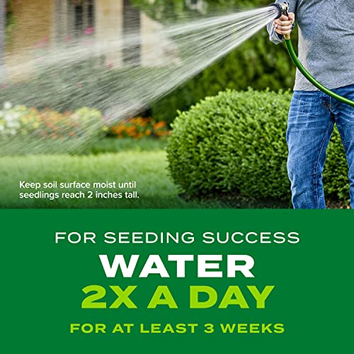 Scotts Turf Builder Rapid Grass Sun and Shade Mix, Combination Grass Seed and Fertilizer, Grows Green Grass in Just Weeks, 16 lbs.