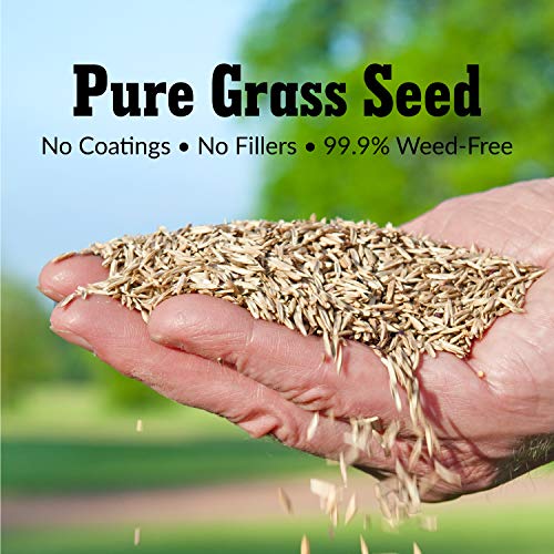 Proscape Winning Colors Turf Type Tall Fescue Grass Seed Blend 25 lb. Bag