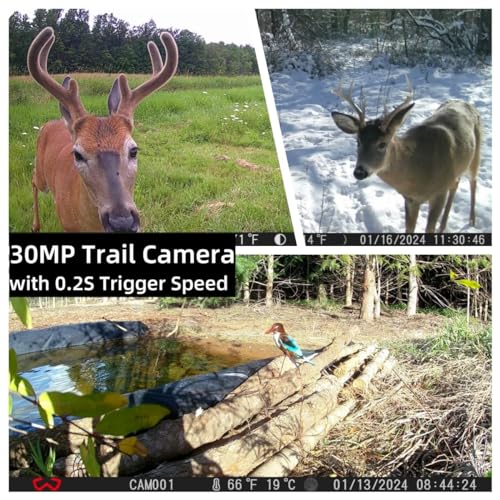 Trail Camera 3 Pack 30MP 1920P HD Game Camera with SD Cards, 0.2s Trigger Time Infrared Night Vision Motion Activated Hunting Cam, IP66 Waterproof 2.0''LCD Wildlife Camera for Monitoring