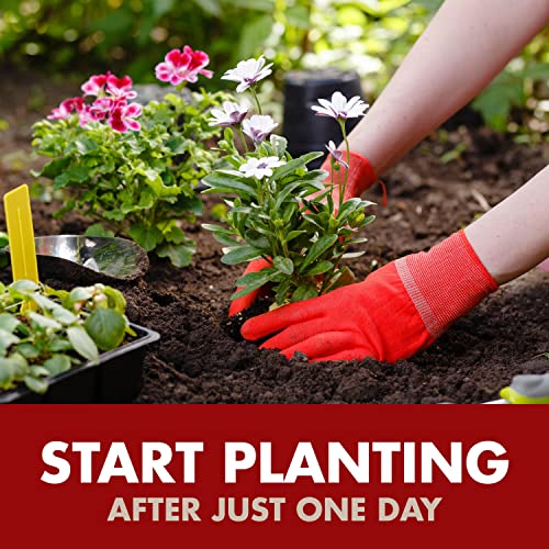 Spectracide Weed & Grass Killer Concentrate, Use On Driveways, Walkways and Around Trees & Flower Beds, 64 fl Ounce