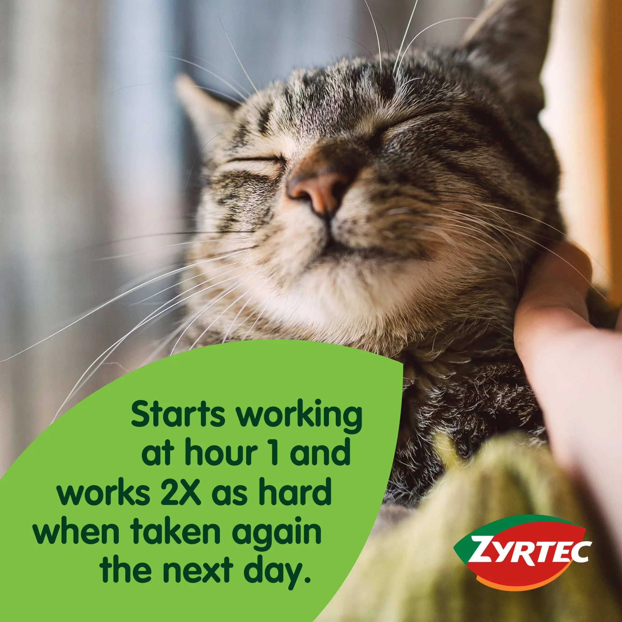 Zyrtec 24 Hour Allergy Relief Tablets, 30+10 Ct *EN